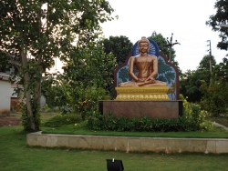 Click on the Image for Enlarged View