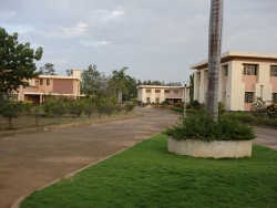 Click on the Image for Enlarged View